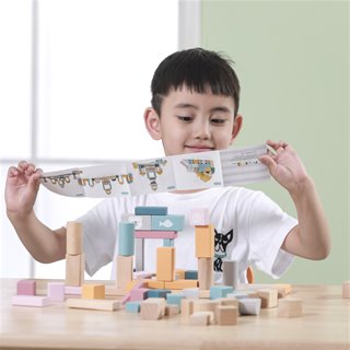 Blocks - 60 pieces